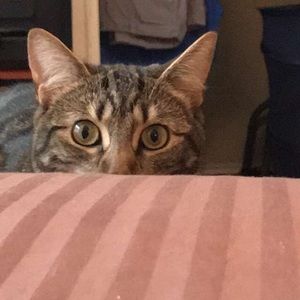 Meet your Posher, Denise